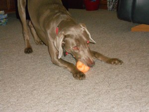 The ball from Santa lasted 60 seconds at best...